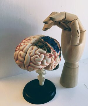 artificial hand and brain