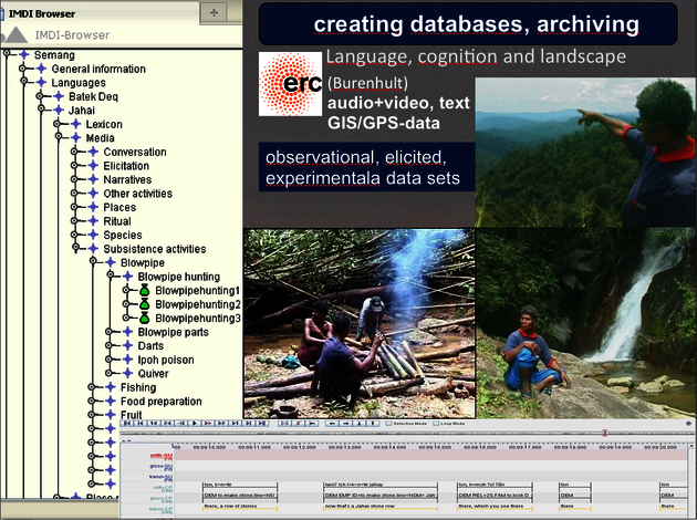 a compilation of pictures: the archive server page tree, people in the djungle in Malaysia, text: "creating databases, archiving".