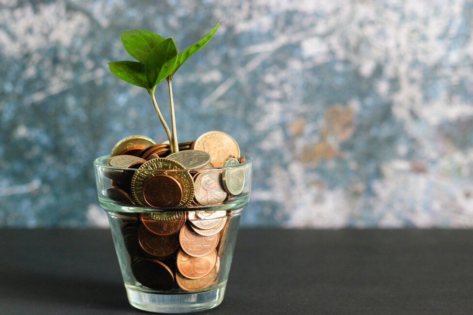 a glass filled with coins and a small plant growing in it