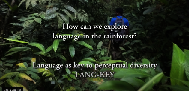 Back of a person in a jungle and text over image with title of film