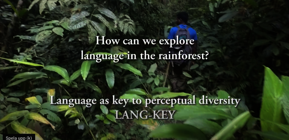 videoframe for youtube with jungle scenaroi and title of the film
