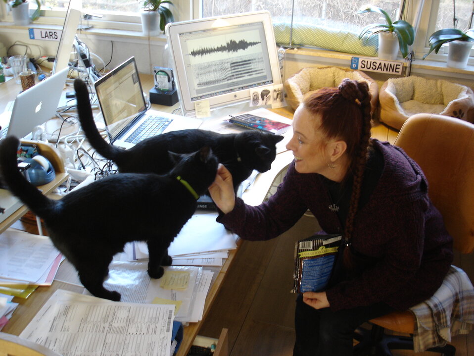 Woman in front of a desk with two black cats